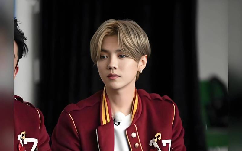 鹿晗小说甜宠娱乐圈_鹿晗甜圈跑男娱乐小说在线阅读_鹿晗娱乐圈小说甜跑男